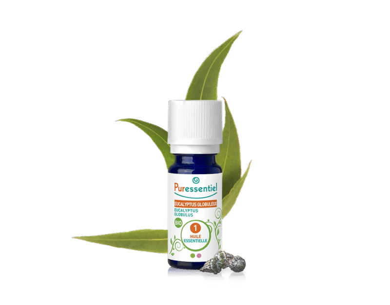 PURESSENTIEL HUILE ESS D EUCALYPTUS GLOBULEUX 10ML