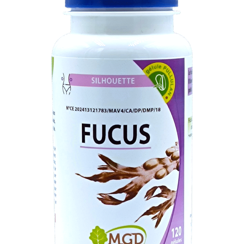 MGD FUCUS /120