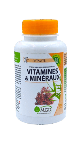 MGD VITAMINE & MINERAUX /120