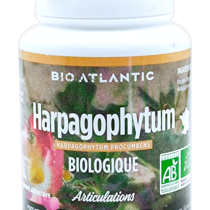 GPH HARPAGOPHYTUM 400MG /120